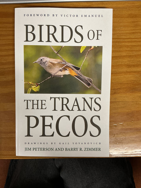 Birds of The TransPecos