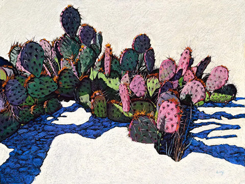 Nancy Lilly
